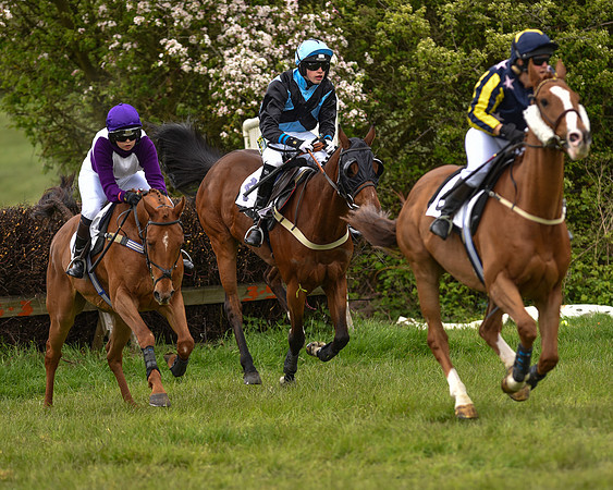 Race 3 - PPORA Club Members for Novice Riders (9 of 31).jpg