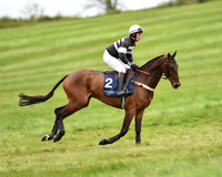 Race 5 - Restricted Race (3 of 80).jpg