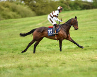 Race 5 - Restricted Race (6 of 80).jpg