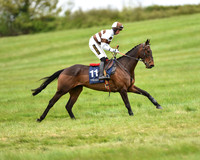 Race 5 - Restricted Race (7 of 80).jpg
