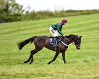Race 5 - Restricted Race (8 of 80).jpg