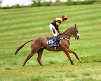 Race 5 - Restricted Race (10 of 80).jpg