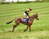 Race 5 - Restricted Race (11 of 80).jpg