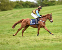 Race 5 - Restricted Race (14 of 80).jpg