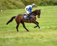 Race 5 - Restricted Race (18 of 80).jpg