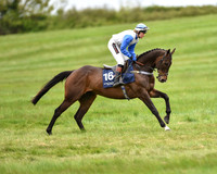 Race 5 - Restricted Race (19 of 80).jpg
