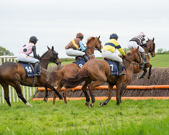 Race 5 - Restricted Race (23 of 80).jpg