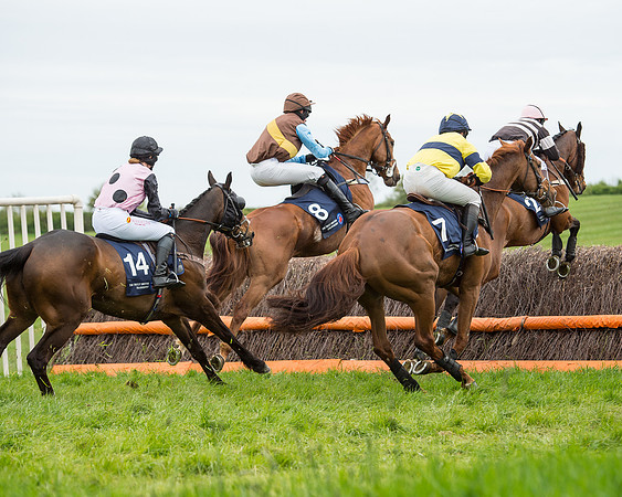 Race 5 - Restricted Race (24 of 80).jpg