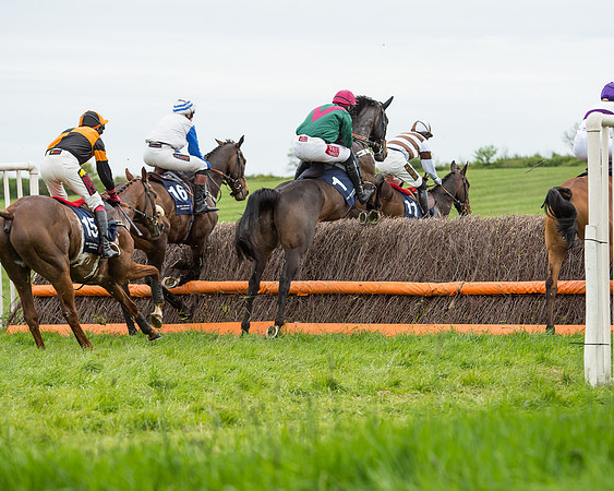 Race 5 - Restricted Race (29 of 80).jpg