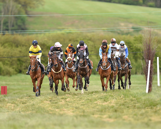 Race 5 - Restricted Race (32 of 80).jpg