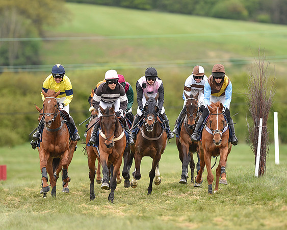 Race 5 - Restricted Race (38 of 80).jpg