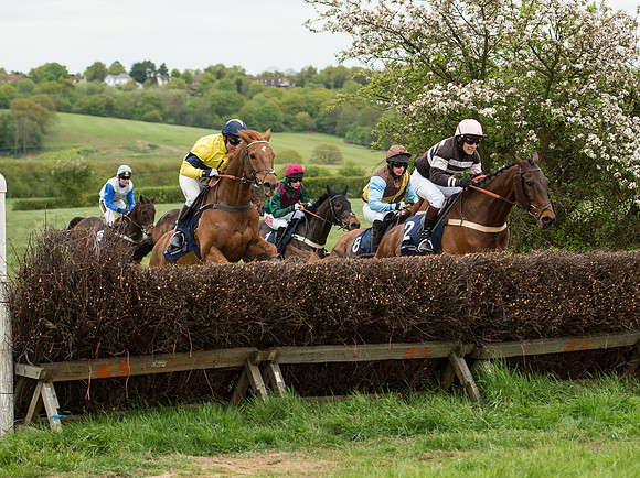 Race 5 - Restricted Race (41 of 80).jpg