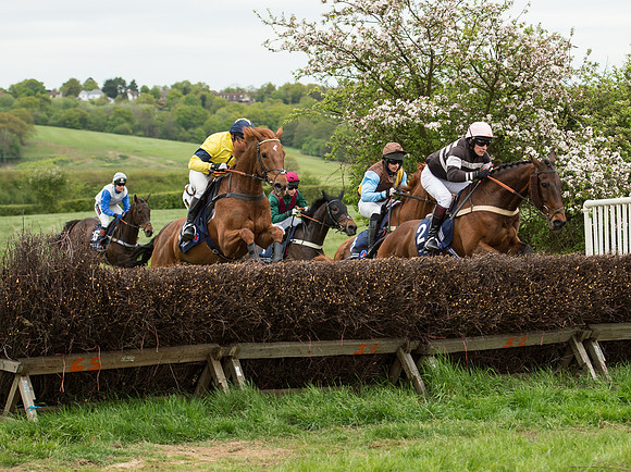 Race 5 - Restricted Race (42 of 80).jpg