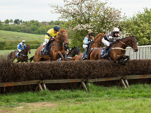 Race 5 - Restricted Race (43 of 80).jpg
