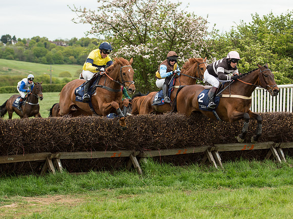 Race 5 - Restricted Race (44 of 80).jpg