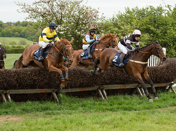 Race 5 - Restricted Race (45 of 80).jpg