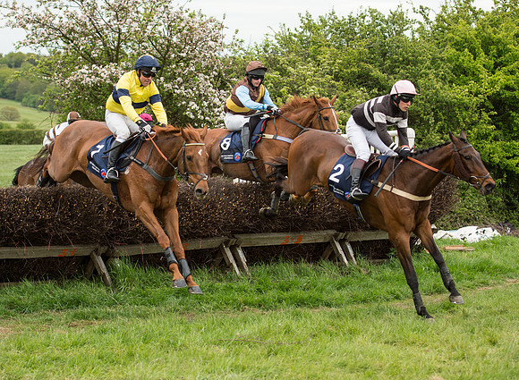 Race 5 - Restricted Race (46 of 80).jpg