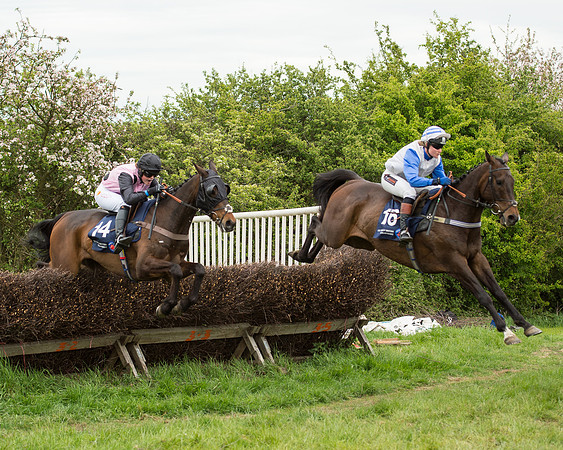 Race 5 - Restricted Race (50 of 80).jpg
