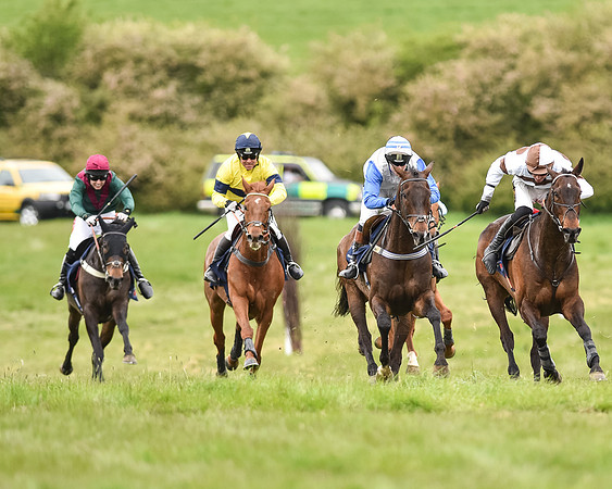 Race 5 - Restricted Race (60 of 80).jpg