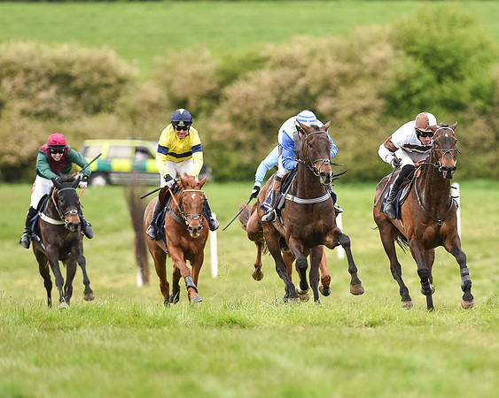 Race 5 - Restricted Race (63 of 80).jpg