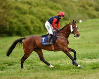 Race 6 - Open Maiden