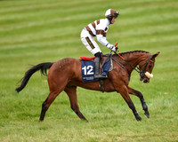 Race 6 - Open Maiden (6 of 56).jpg