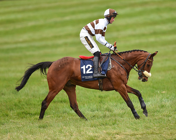 Race 6 - Open Maiden (6 of 56).jpg