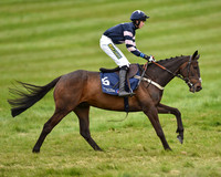 Race 6 - Open Maiden (7 of 56).jpg