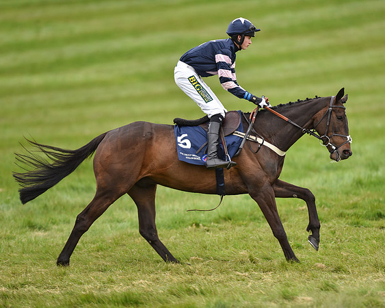 Race 6 - Open Maiden (7 of 56).jpg