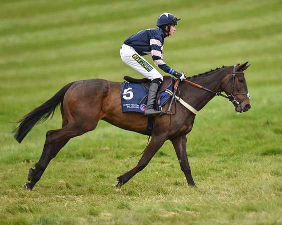 Race 6 - Open Maiden (8 of 56).jpg
