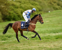 Race 6 - Open Maiden (9 of 56).jpg