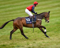 Race 6 - Open Maiden (13 of 56).jpg