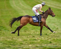 Race 6 - Open Maiden (16 of 56).jpg