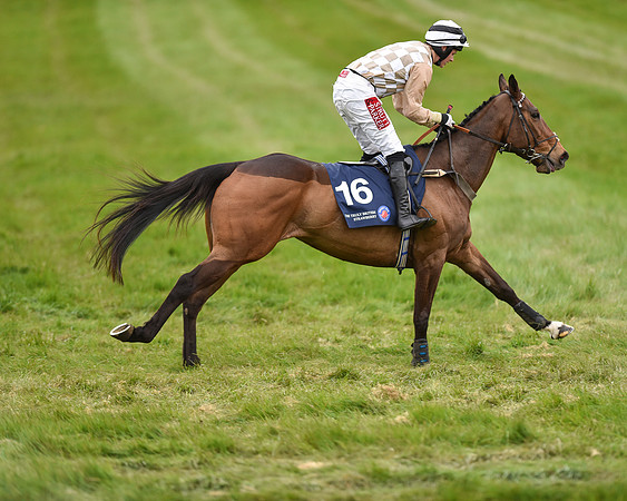 Race 6 - Open Maiden (16 of 56).jpg
