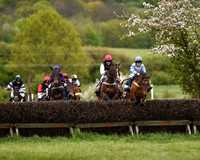 Race 6 - Open Maiden (17 of 56).jpg