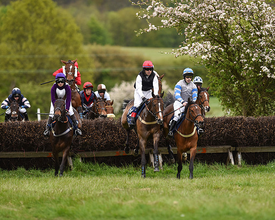 Race 6 - Open Maiden (20 of 56).jpg