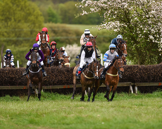 Race 6 - Open Maiden (21 of 56).jpg