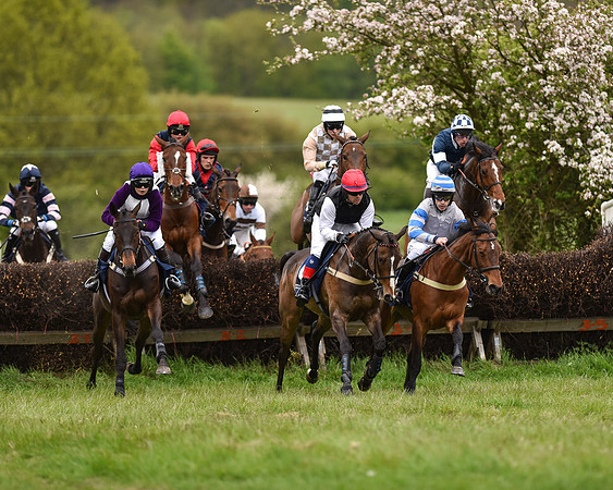 Race 6 - Open Maiden (22 of 56).jpg