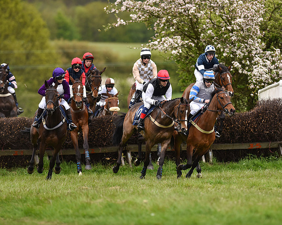 Race 6 - Open Maiden (23 of 56).jpg