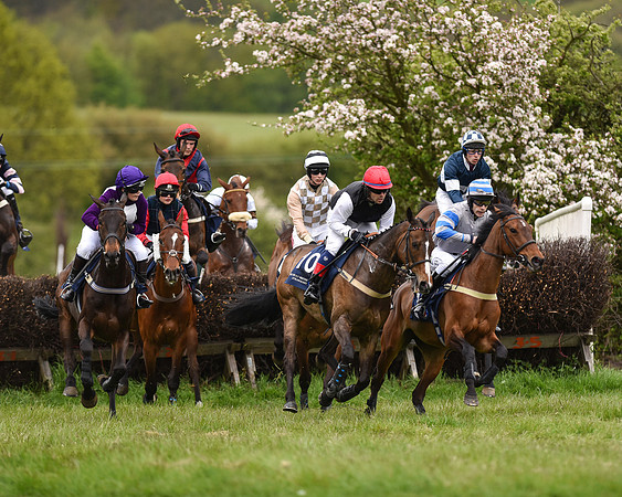 Race 6 - Open Maiden (24 of 56).jpg