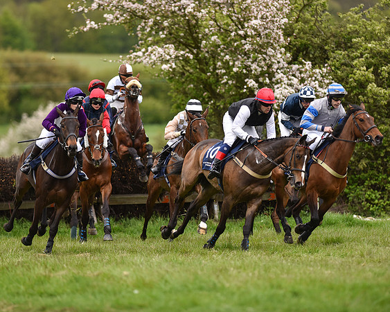 Race 6 - Open Maiden (26 of 56).jpg