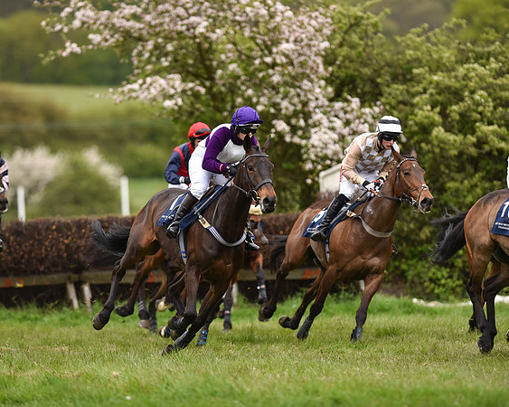 Race 6 - Open Maiden (27 of 56).jpg