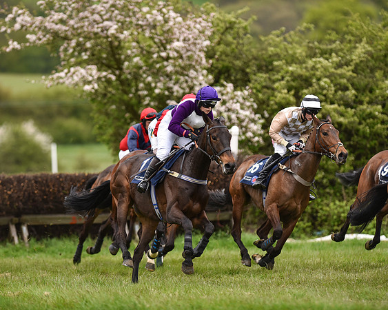 Race 6 - Open Maiden (28 of 56).jpg