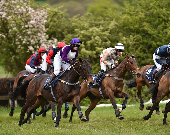 Race 6 - Open Maiden (29 of 56).jpg