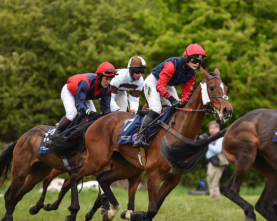 Race 6 - Open Maiden (30 of 56).jpg
