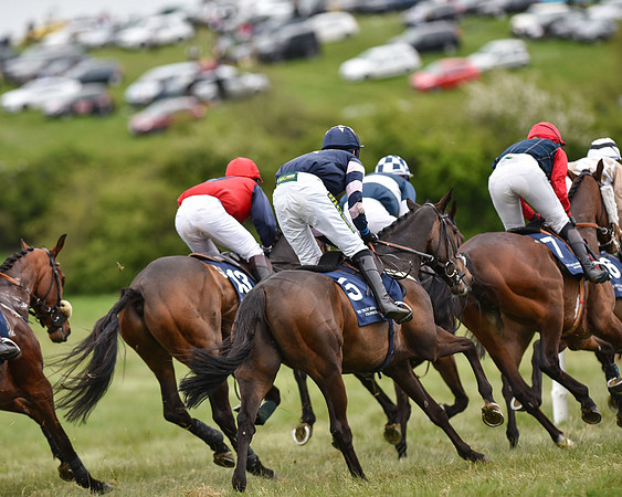 Race 6 - Open Maiden (31 of 56).jpg
