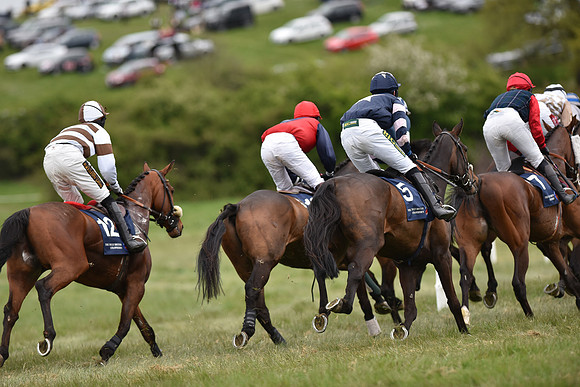 Race 6 - Open Maiden (32 of 56).jpg