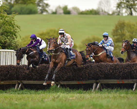 Race 6 - Open Maiden (35 of 56).jpg