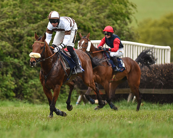 Race 6 - Open Maiden (38 of 56).jpg
