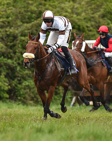 Race 6 - Open Maiden (38 of 56)-2.jpg